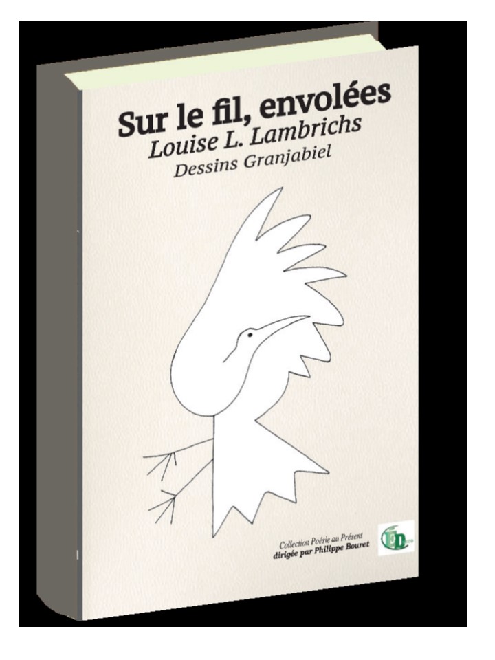 Nos écrivaines à l’affiche | Louise L. Lambrichs : Sur le fil, envolées
